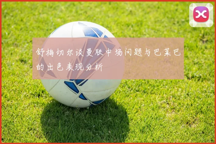 舒梅切尔谈曼联中场问题与巴莱巴的出色表现分析